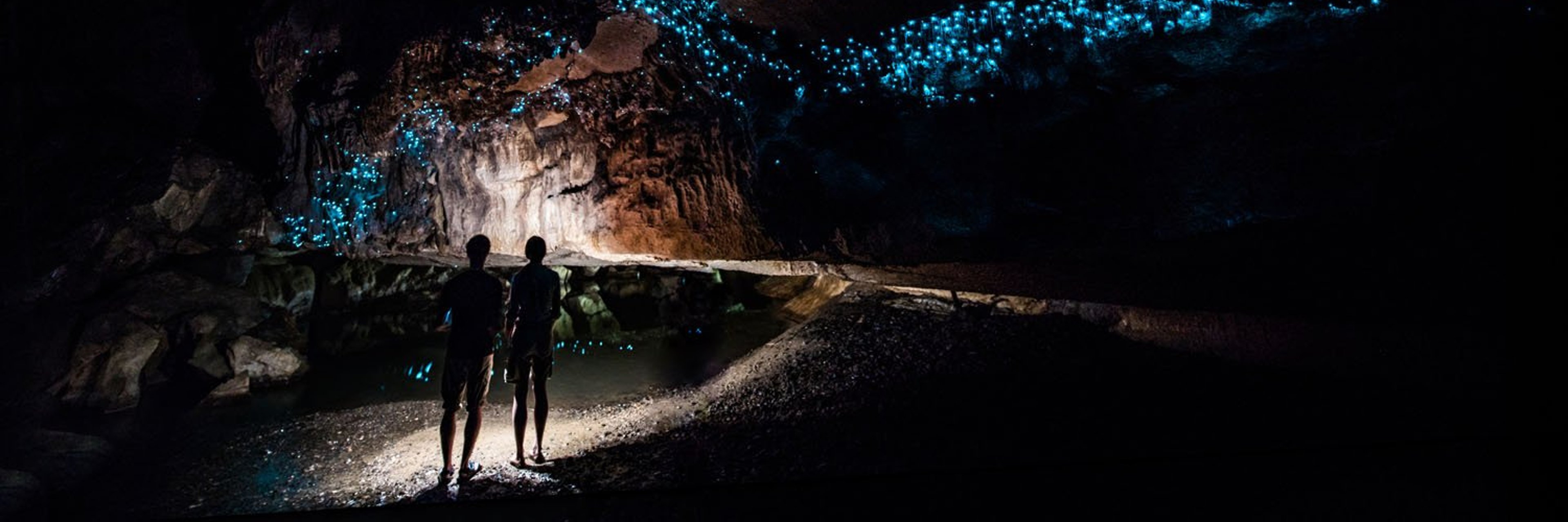 Glowworm Cathedral at the end of Waipu Cave in New Zealand.