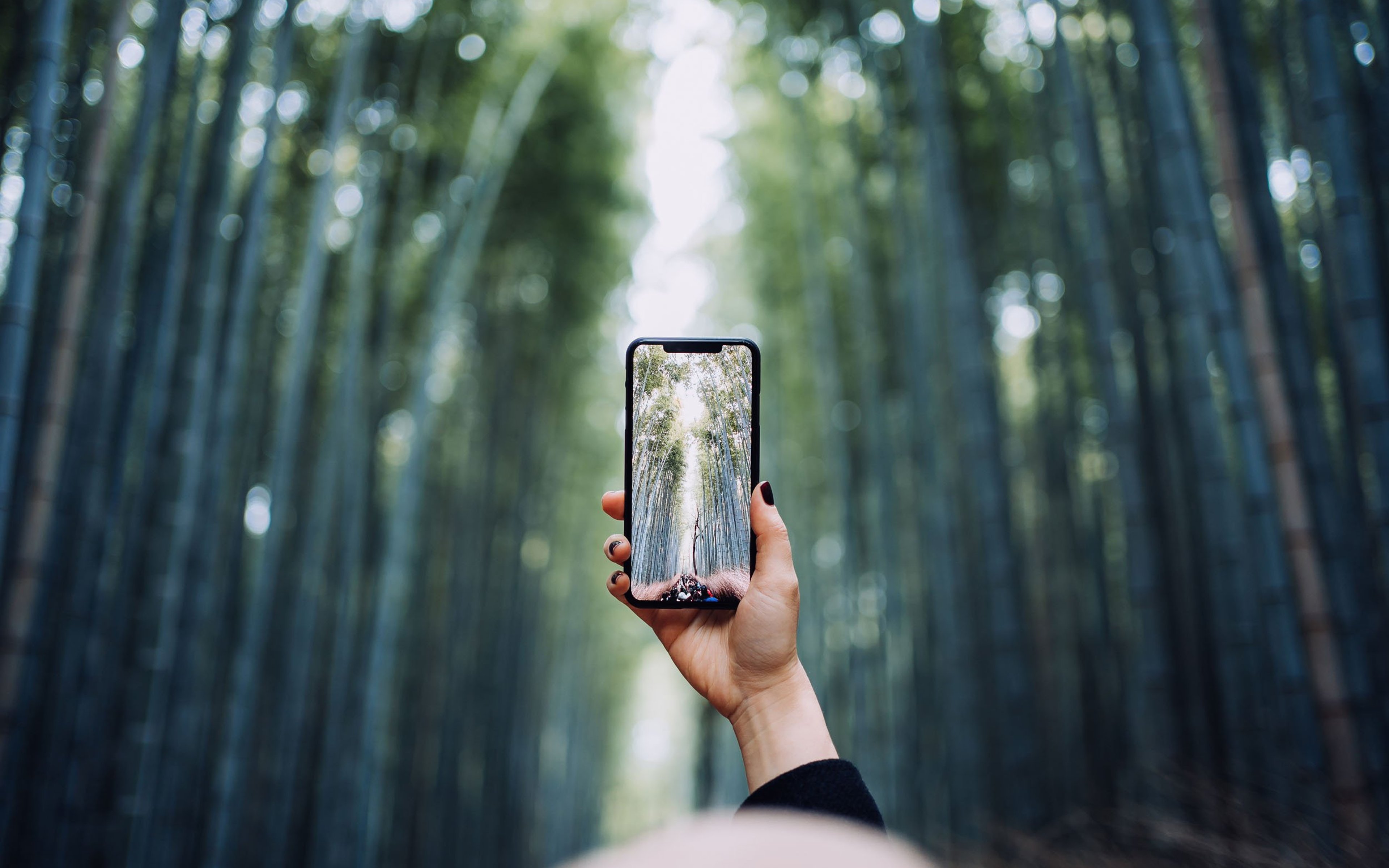 Asian female traveller photographing the spectacular nature scenics of Arashiyama Bamboo forest with smartphone while travelling in Kyoto, Japan.
