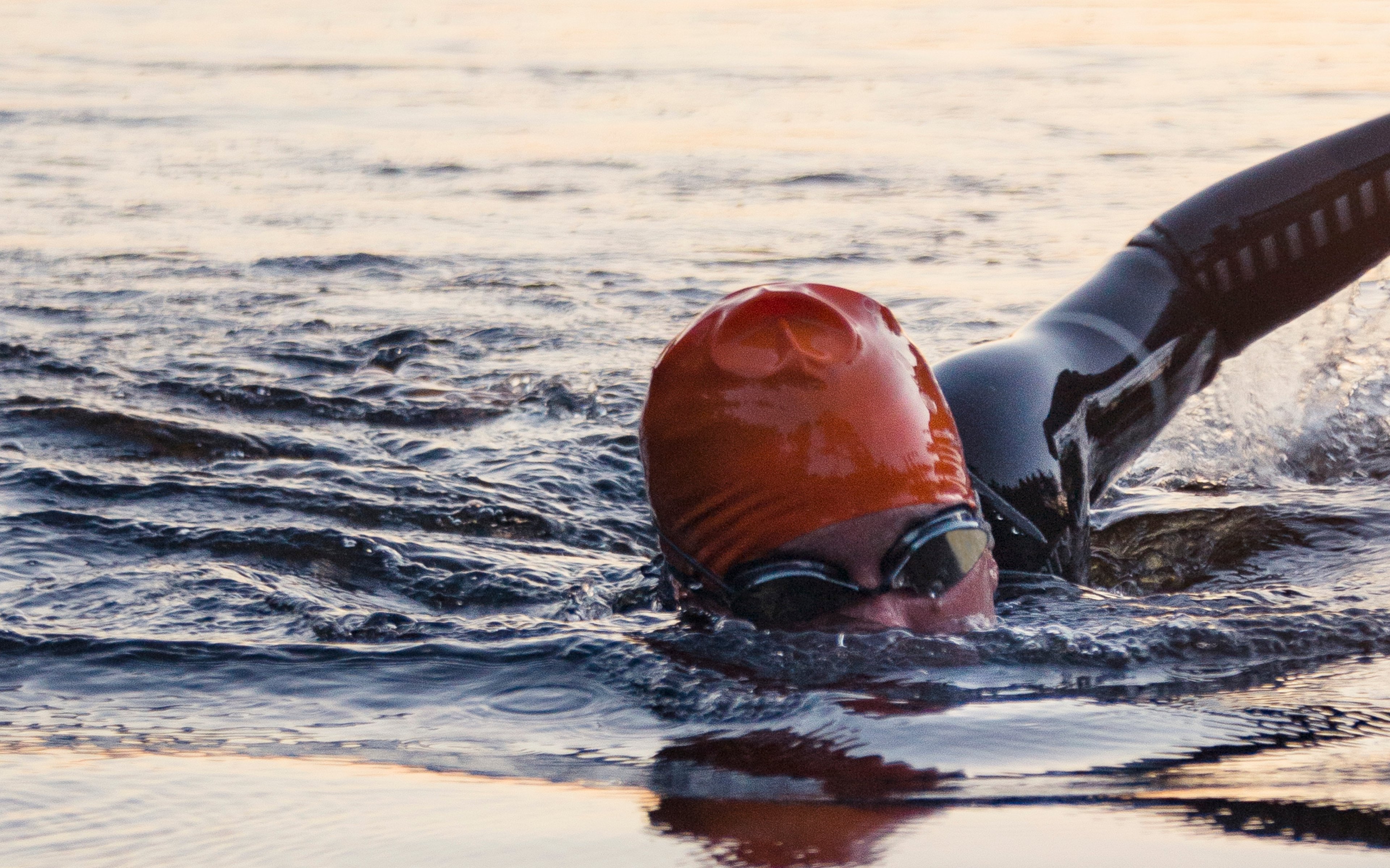 Photograph of a swimmer wearing a red swim cap and black wetsuit swimming in open water during sunset or early morning.