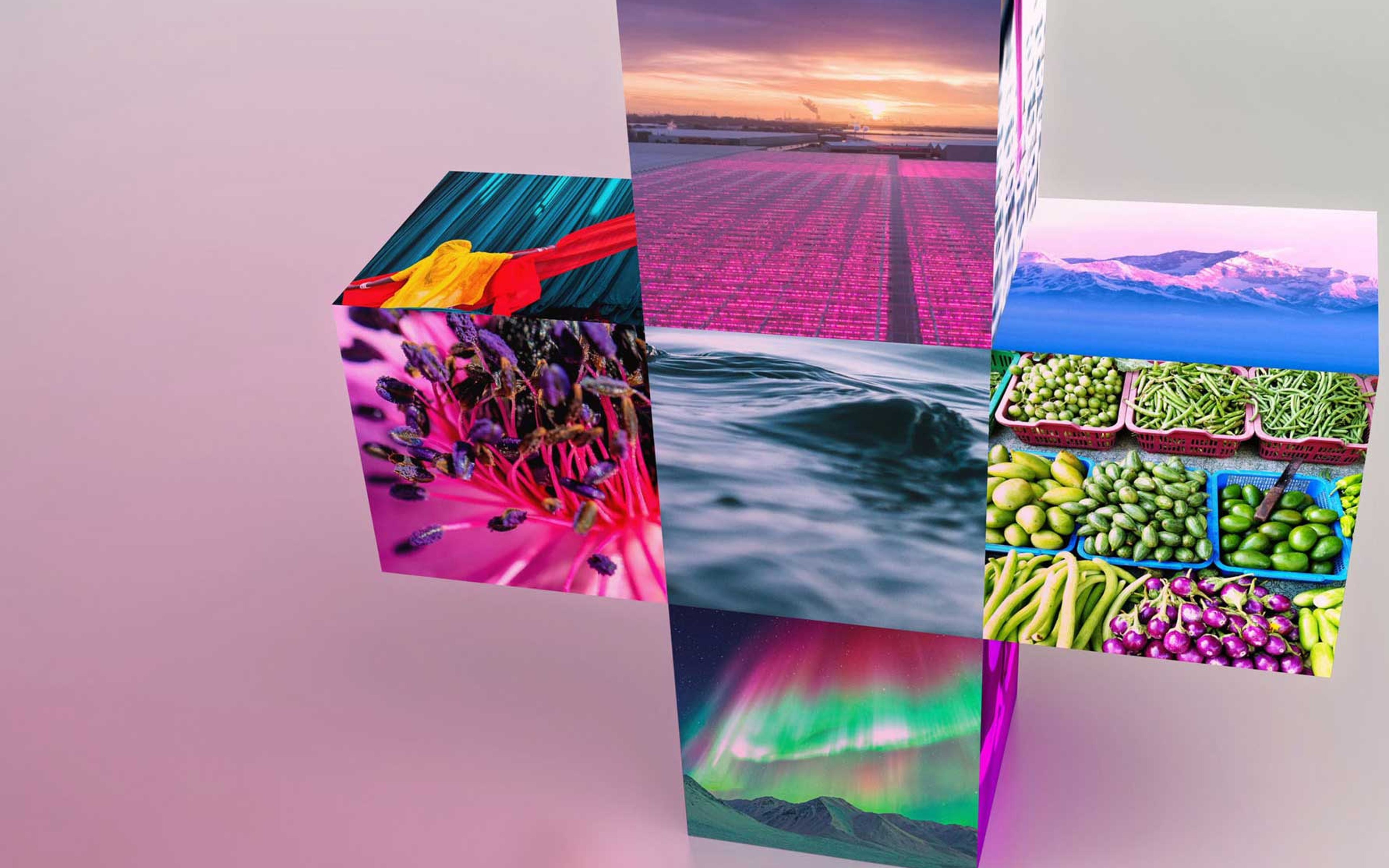 3d model of a plus icon featuring images of fields, landscapes and vergetables.