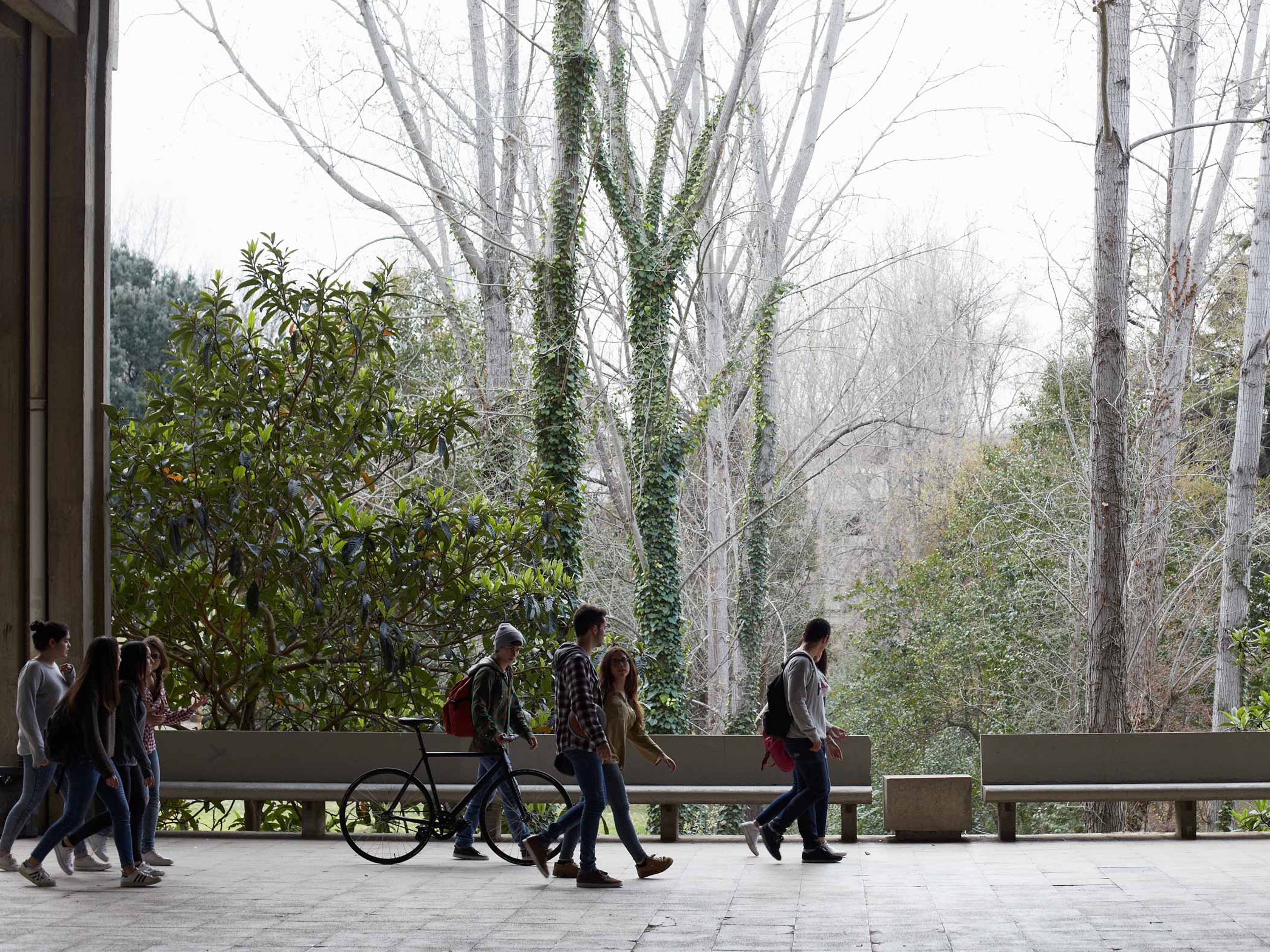 Large group of young people walking nearby a building of a university campus.