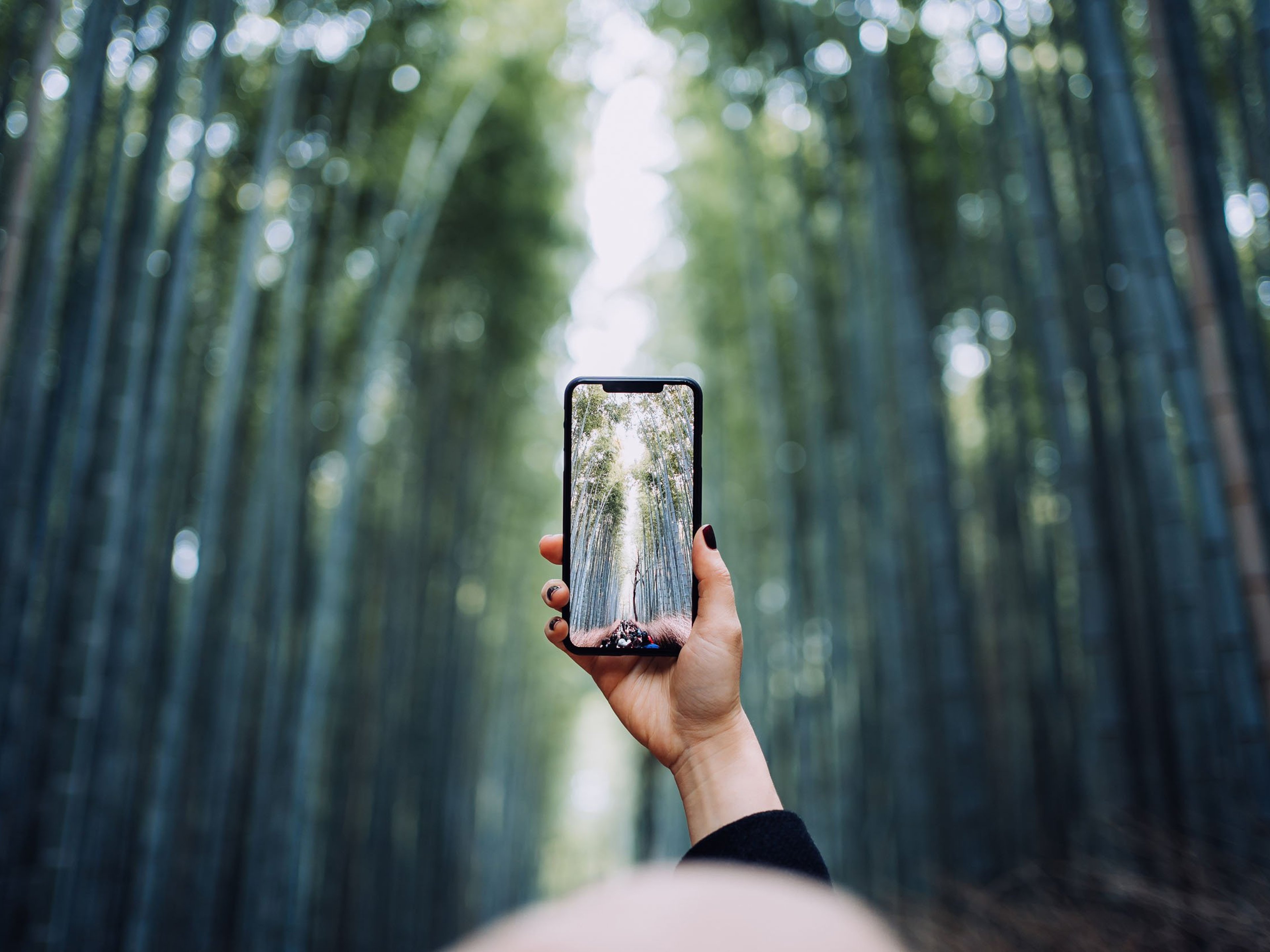 Asian female traveller photographing the spectacular nature scenics of Arashiyama Bamboo forest with smartphone while travelling in Kyoto, Japan.