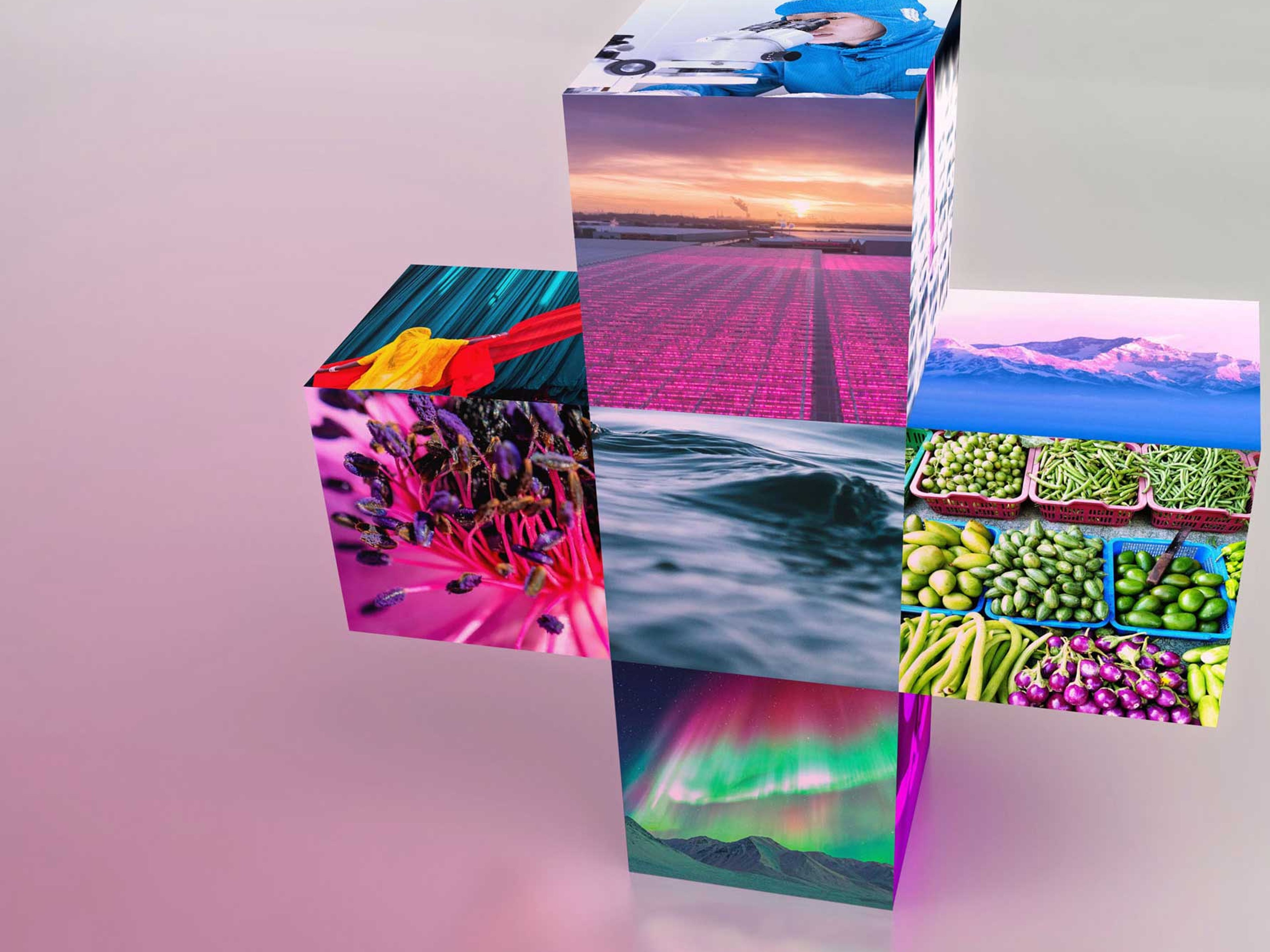 3d model of a plus icon featuring images of fields, landscapes and vergetables.